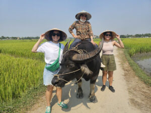 Cycling, Water buffalo riding, Traditional Farming and Fishing Life Experience
