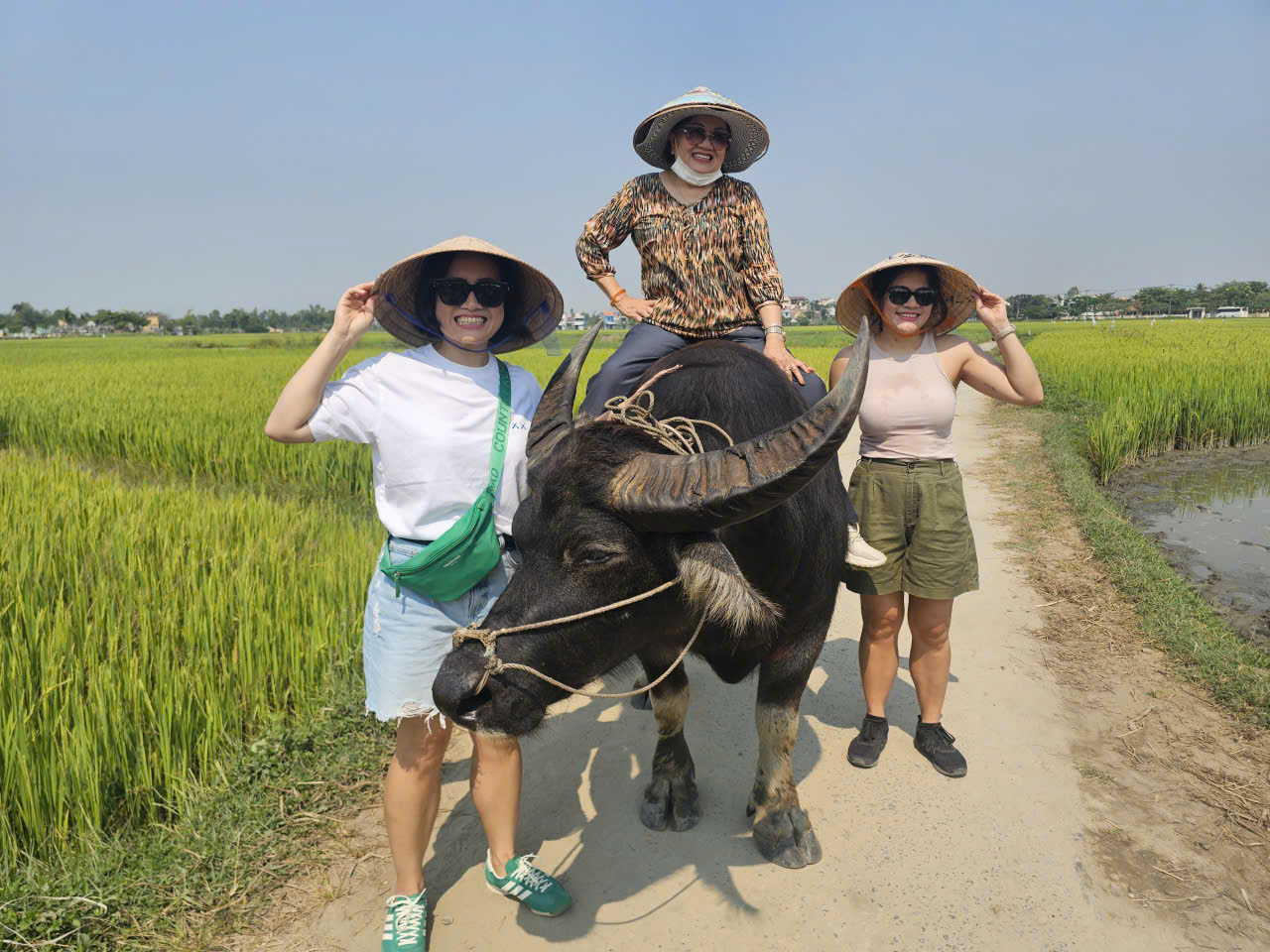 Cycling, Water buffalo riding, Traditional Farming and Fishing Life Experience